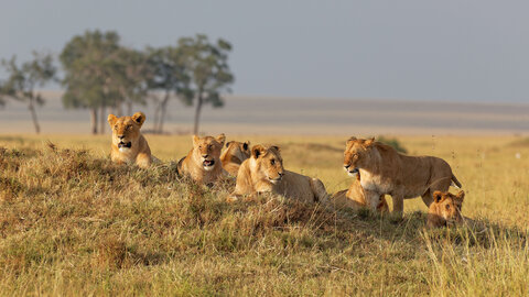 A Kenya Odyssey to Mombasa Coast 7 Nächte - Kleingruppe: ab Nairobi/bis Mombasa