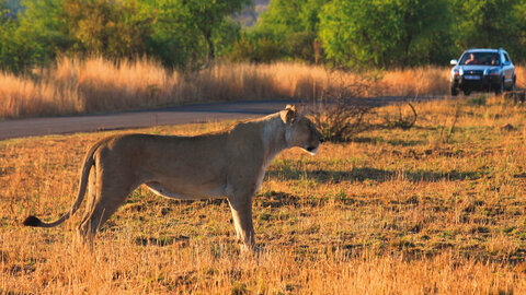 A Kenya Odyssey to Mombasa Coast 7 Nächte - Kleingruppe: ab Nairobi/bis Mombasa
