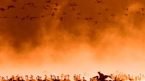 Privatrundreise Taita Hills & Tsavo East