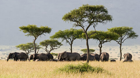 Privatrundreise Taita Hills & Tsavo East