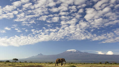 The Mombasa Rendezvous 3 Nächte - Privat