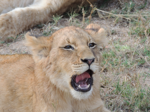 13 Nächte - Klassisches Südafrika