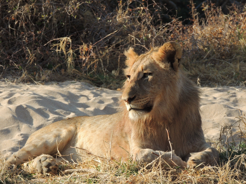 13 Nächte - Klassisches Südafrika