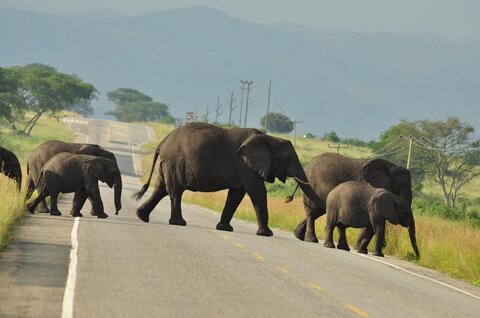 Uganda entdecken - Privat