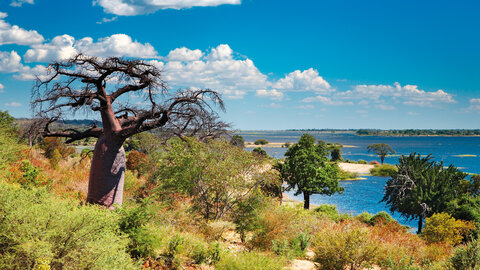 Zimbabwe & Botswana "Game Trail" - Kleingruppe