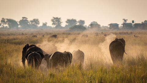 Zimbabwe & Botswana "Game Trail" - Kleingruppe