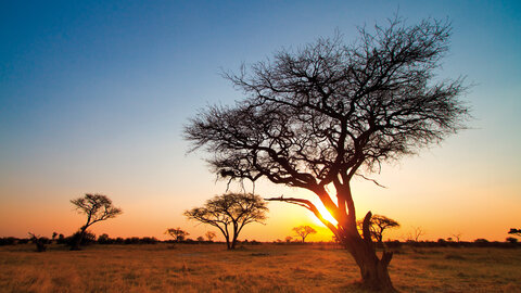 Zimbabwe & Botswana "Game Trail" - Kleingruppe