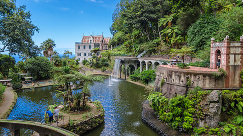 Natur- & Blumeninsel Madeira | Sternfahrt durch den bunten Garten des Atlantiks