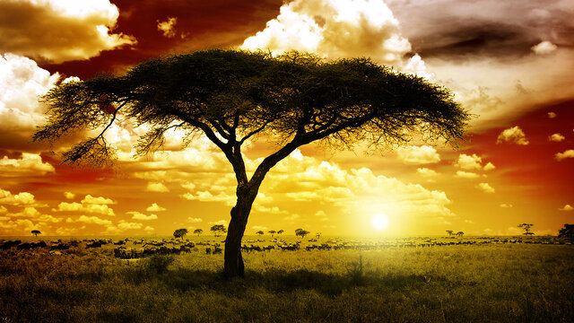 Südafrika | Das schönste Ende der Welt