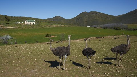 Südafrika | Das schönste Ende der Welt
