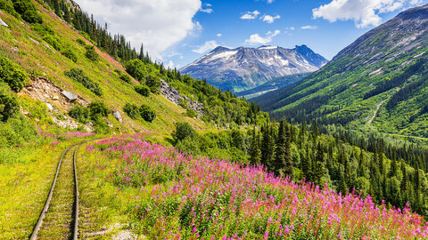 Kanada, Alaska - Wandern entlang des Yukon