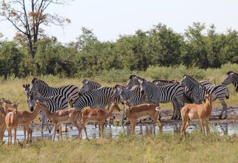 Südafrika - Entdeckungsreise vom Highveld zum Tafelberg | ab/bis Wien