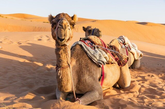 OMAN | Märchenhaftes Sultanat