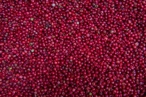 OMAN | Märchenhaftes Sultanat