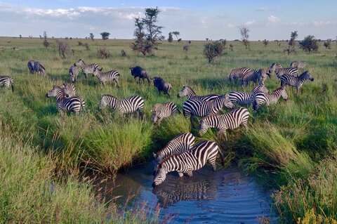 North Tanzania 7 Nächte - Privat