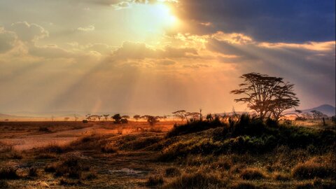 North Tanzania 7 Nächte - Privat