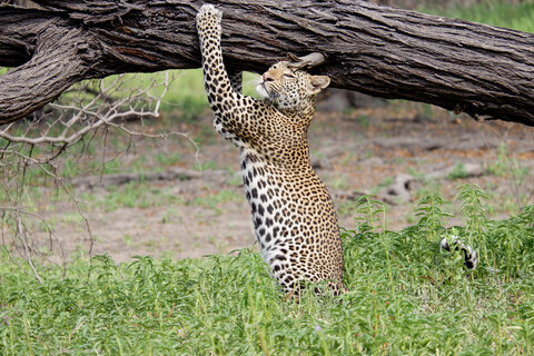 North Tanzania 4 Nächte - Privat