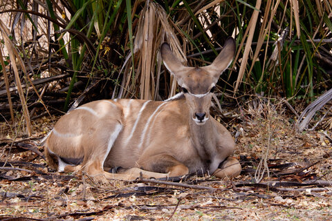 North Tanzania 4 Nächte - Privat