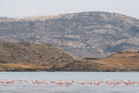 North Tanzania 4 Nächte - Privat