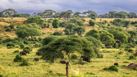 North Tanzania 4 Nächte - Privat