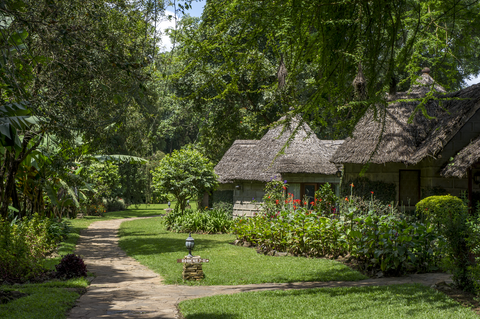 Tanzania Safari-Abenteuer 7 Nächte - Privat