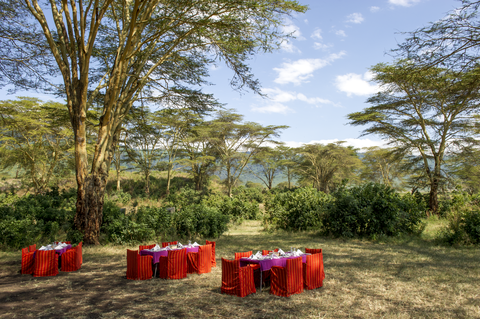 Tanzania Safari-Abenteuer 7 Nächte - Privat