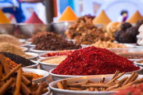 ÄGYPTEN | Segelkreuzfahrt Warda (Luxor – Assuan – Luxor)