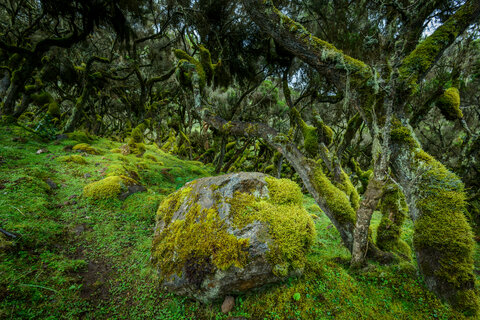 Äthiopien | Kultur trifft Natur | Rundreise | ab/bis Wien