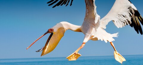 Namibia | Sossusvlei | © Dieter Lehmann / Chamäleon