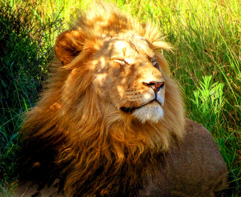 Südafrika | Garden Route