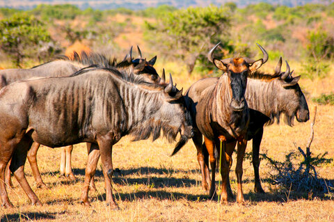 Südafrika | Garden Route