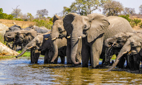 Südafrika | Garden Route