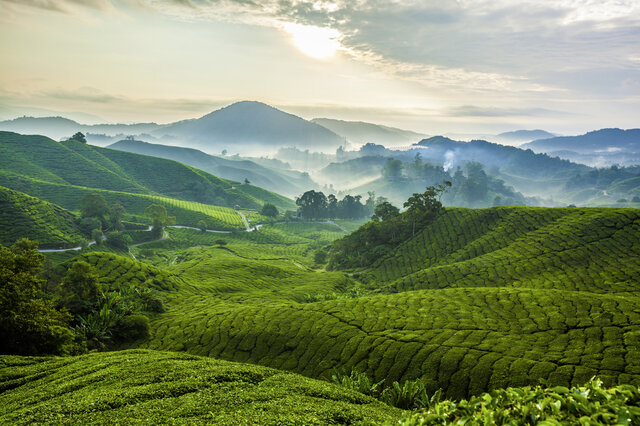 Zeit für Sri Lanka