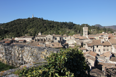 FLUSSREISE 2026 - Die Rhône für Romantiker – von Lyon bis Avignon