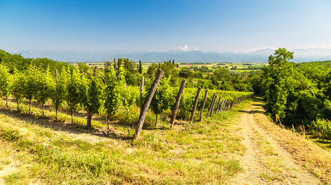 Zeit für ALPENPOST Leserreise - PADUA