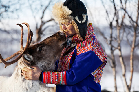 Magische Momente in Lappland