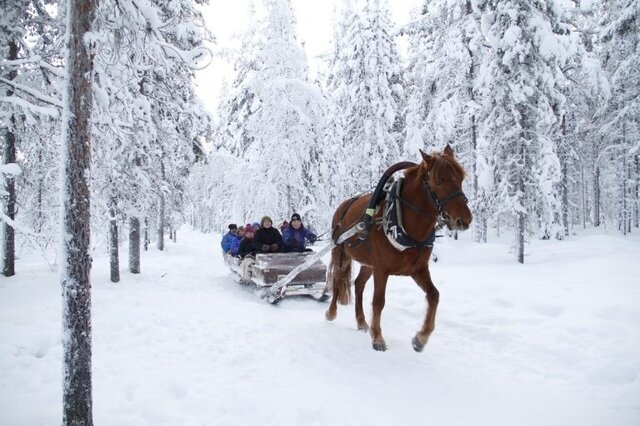 Magische Momente in Lappland