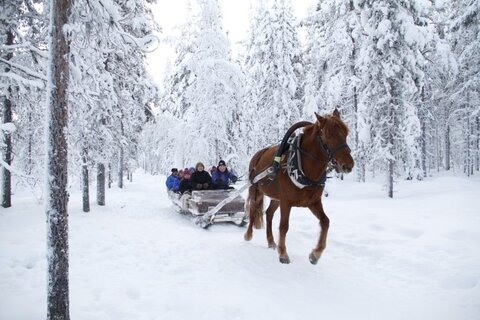 Magische Momente in Lappland