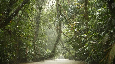 Naturerlebnisreise Nicaragua & Costa Rica