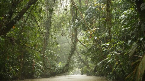 Costa Rica Highlights