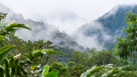 Höhepunkte Ecuadors