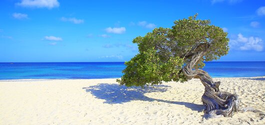 Reiseideen für Ihr perfektes Urlaubserlebnis: Aruba