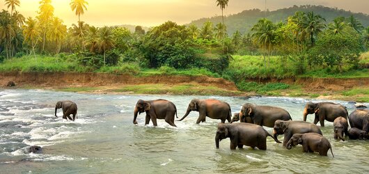 Reiseideen für Ihr perfektes Urlaubserlebnis: All Inclusive