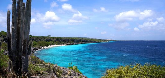 Reiseideen für Ihr perfektes Urlaubserlebnis: Bonaire