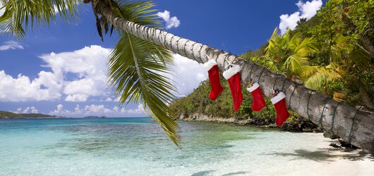 Diese Urlaubsthemen könnten Sie auch interessieren: Weihnachten unter Palmen