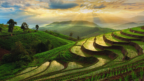 Thailand Rundreise| Family & Teens | Authentische Erlebnisse im Norden
