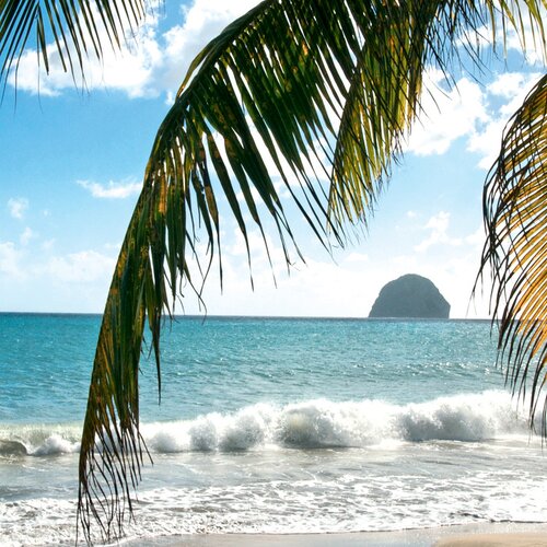 Anmeldung zum Fernreise Newsletter