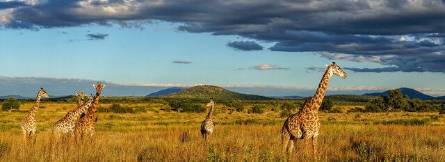 North Tanzania 10 Nächte - Privat