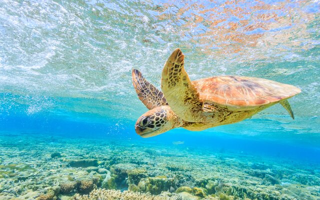 Urlaubsreisen nach Fuerteventura – Erholung pur