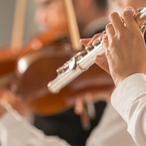 Reisen, die den Takt angeben: Musik hautnah erleben